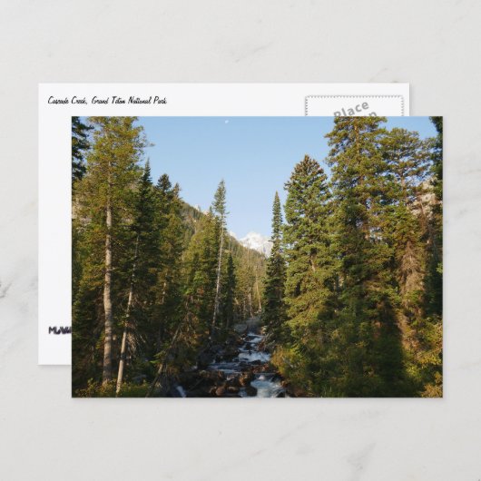 Cascade Creek bei Grand Teton Postkarte (Vorne/Hinten)