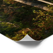 Cascade Creek im Grand Teton Poster (Ecke)