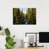 Cascade Creek im Grand Teton Poster (Heimbüro)