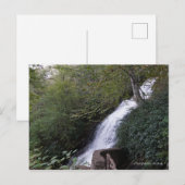 Cascade Falls, Blue Ridge Mountains Postkarte (Vorne/Hinten)