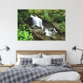 Cascade in Smoky Mountain National Park Leinwanddruck (Insitu (Schlafzimmer))