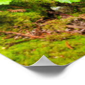 Cascade on Hare Creek, Kalifornien Poster (Ecke)