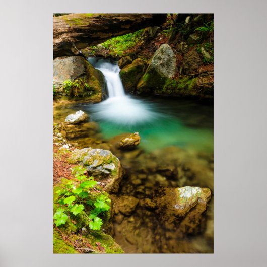 Cascade on Hare Creek, Kalifornien Poster (Vorne)