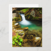 Cascade on Hare Creek, Kalifornien Postkarte (Vorne/Hinten)