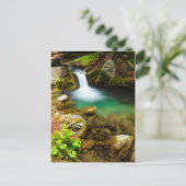 Cascade on Hare Creek, Kalifornien Postkarte (Stehend Vorderseite)