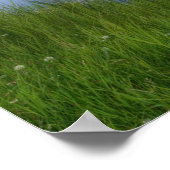 Cascade Ponds Canada Poster (Ecke)