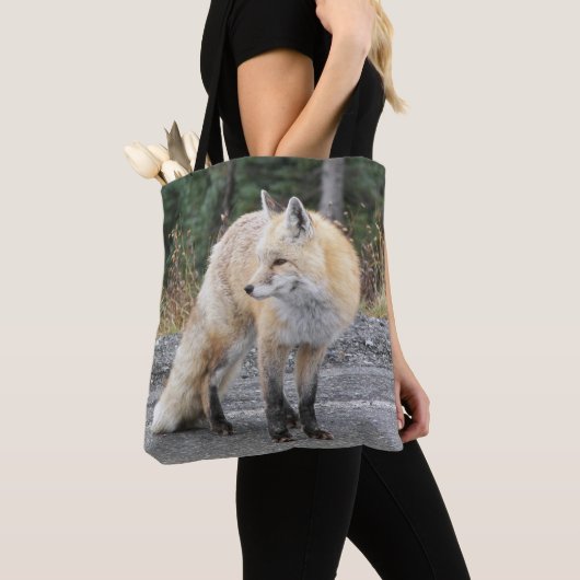 Cascade Red Fox Wildlife Foto Tasche (Von Nahem)