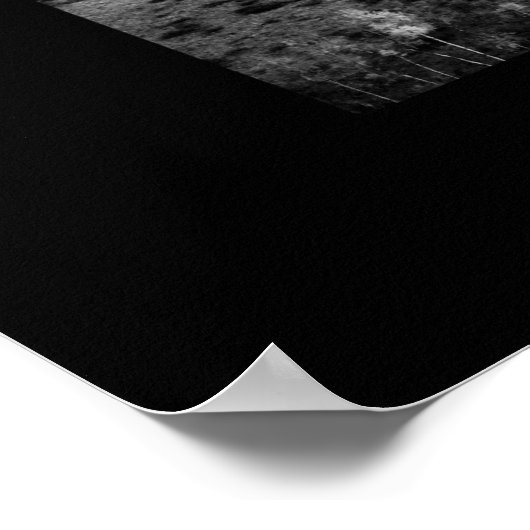 Cascade - See Poster (Ecke)