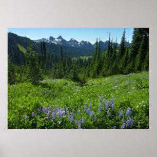 Cascade-Strecke vom Rainier-Nationalpark Poster