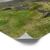 Cascades Poster (Ecke)