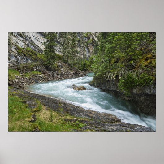 Cascades Poster (Vorne)