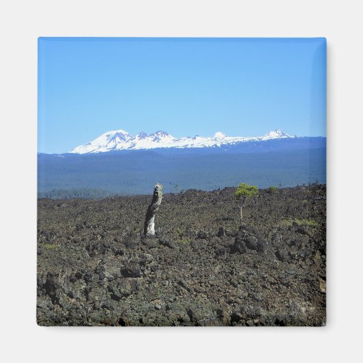 Cascades und Lava Rocks, Oregon Magnet (Vorne)