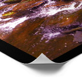 CASCADILLA GORGE ITHACA NEW YORK POSTER (Ecke)