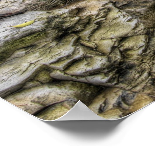 Cascading Creek - Austin, Texas Poster (Ecke)