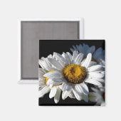 Cascading Daisy Magnet (Vorderseite/Rückseite)