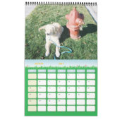 Casco Kalender (Mär 2027)
