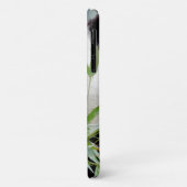 Case Foto Riesenpanda, Panda Geant , Tiere. (Hinten/Links)