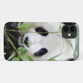 Case Foto Riesenpanda, Panda Geant , Tiere. (Rückseite (Horizontal))