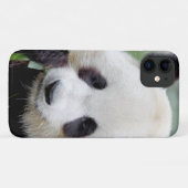 Case Foto Riesenpanda, Panda Geant , Tiere. (Rückseite (Horizontal))