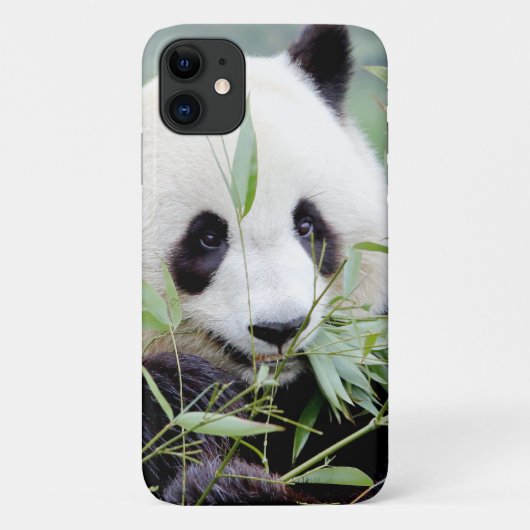 Case Foto Riesenpanda, Panda Geant , Tiere. (Rückseite)
