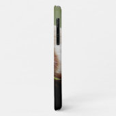 Case Foto roter Panda, Panda roux , Tiere. (Hinten/Links)