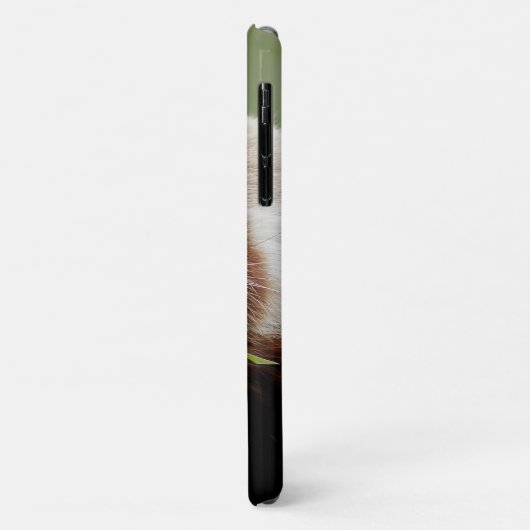 Case Foto roter Panda, Panda roux , Tiere. (Hinten/Links)