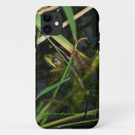 Case iPhone 5 mit Bild eines grünen mimetischen Fr (Rückseite)