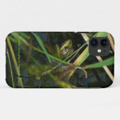 Case iPhone 5 mit Bild eines grünen mimetischen Fr (Rückseite (Horizontal))