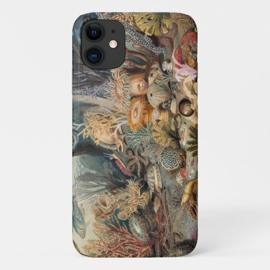 Case-Mate Barely There Apple iPhone 11 Fall Hülle (Rückseite)