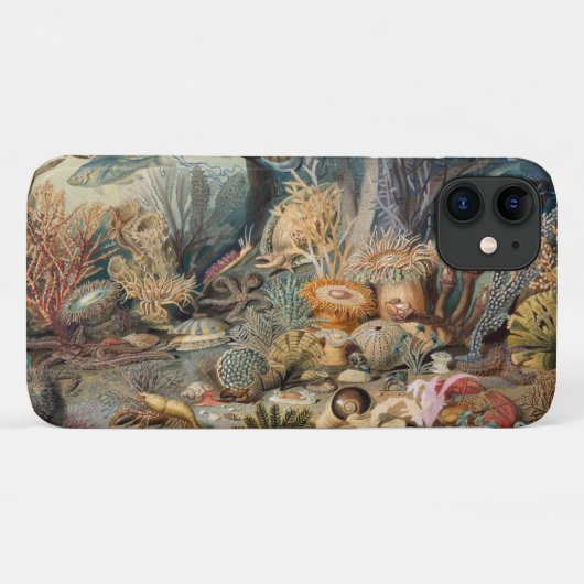Case-Mate Barely There Apple iPhone 11 Fall Hülle (Rückseite (Horizontal))