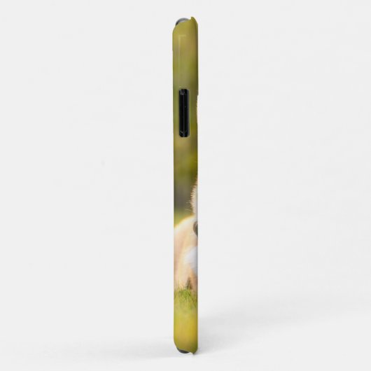 Case-Mate Barely There Apple iPhone 11 Fall Hülle (Hinten/Rechts)