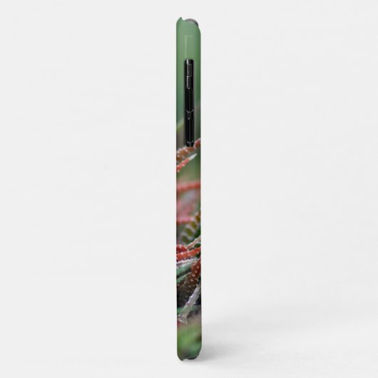Case-Mate Barely There Apple iPhone 11 Fall Hülle (Hinten/Links)