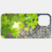 Case-Mate Barely There Apple iPhone 12 Pro Case-Mate iPhone Hülle (Rückseite / Rechts)