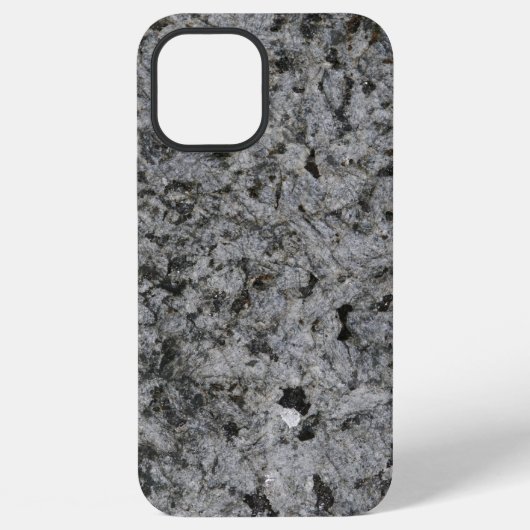 Case-Mate Barely There Apple iPhone 12 Pro Max Hülle (Rückseite)