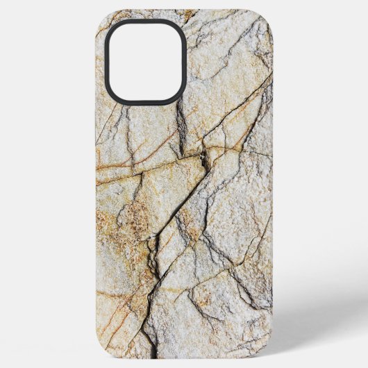 Case-Mate Barely There Apple iPhone 12 Pro Max Hülle (Rückseite)