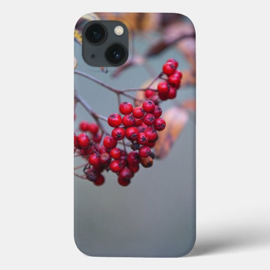 Case-Mate Barely There Apple iPhone 13 Fall Hülle (Rückseite)