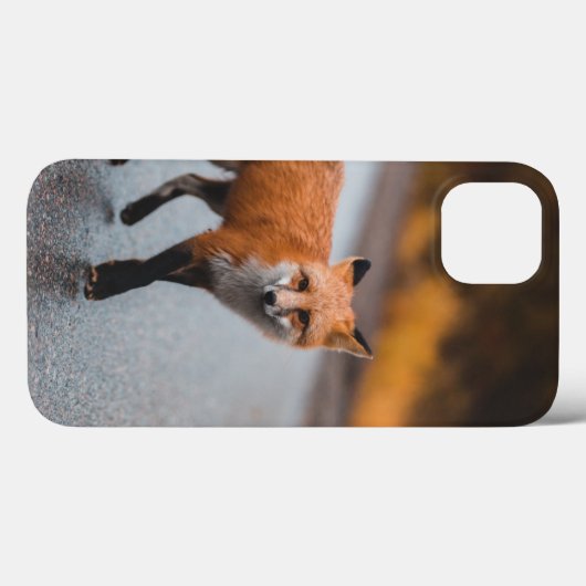 Case-Mate Barely There Apple iPhone 13 Fall Hülle (Rückseite (Horizontal))