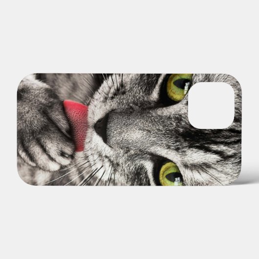 Case-Mate Barely There Apple iPhone 13 Mini-Fall Hülle (Rückseite (Horizontal))