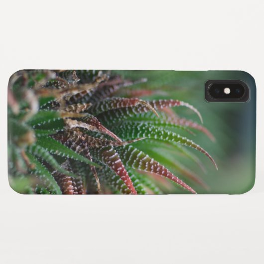 Case-Mate Barely There Apple iPhone XS Max Hülle (Rückseite (Horizontal))