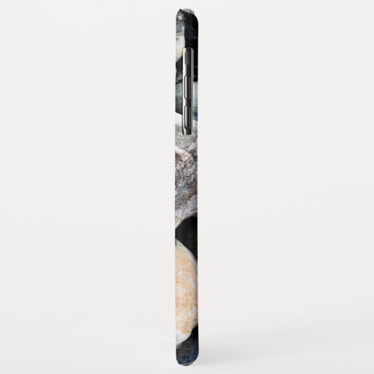 Case-Mate Barely There Apple iPhone XS Max Hülle (Hinten/Links)