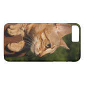 Case Mate Barely There Plus iPhone 7 Case Kitten (Rückseite (Horizontal))