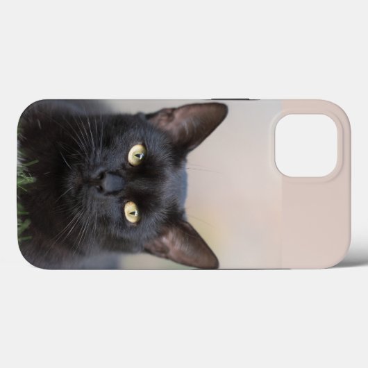 Case-Mate iPhone Hülle (Rückseite (Horizontal))
