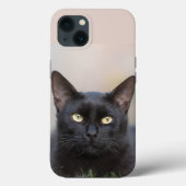 Case-Mate iPhone Hülle (Rückseite)