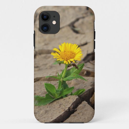 Case-Mate Tough Apple iPhone 11 Fall Hülle (Rückseite)