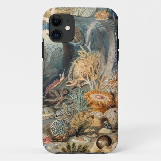 Case-Mate Tough Apple iPhone 11 Fall Hülle (Rückseite)