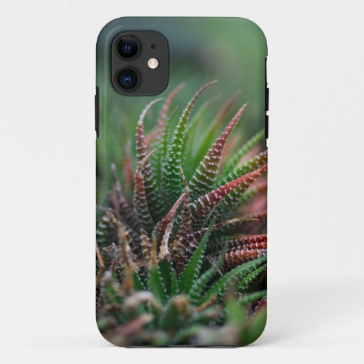 Case-Mate Tough Apple iPhone 11 Fall Hülle (Rückseite)