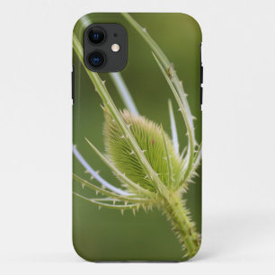 Case-Mate Tough Apple iPhone 11 Fall Hülle