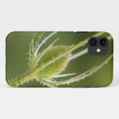 Case-Mate Tough Apple iPhone 11 Fall Hülle (Rückseite (Horizontal))