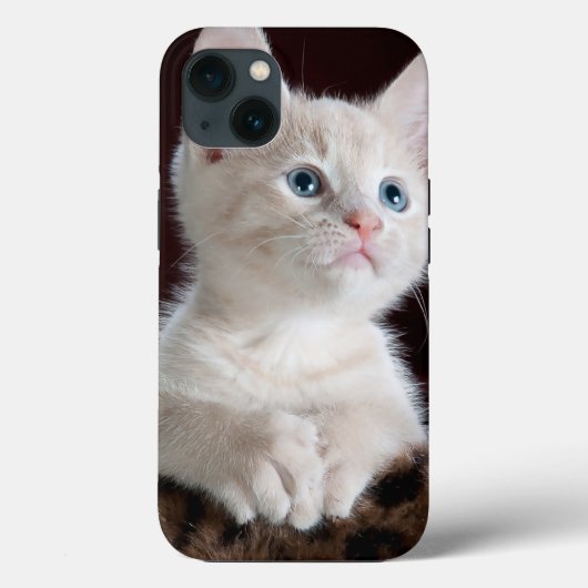 Case-Mate Tough Apple iPhone 13 Fall Hülle (Rückseite)