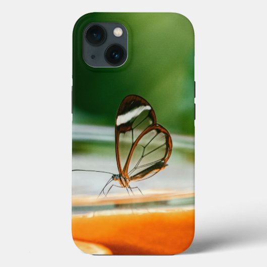 Case-Mate Tough Apple iPhone 13 Fall Hülle (Rückseite)